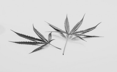 Лечение наркомании в Щербинке